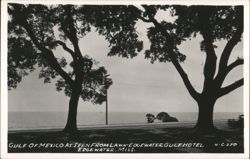 Gulf of Mexico from Lawn of Edgewater Gulf Hotel Postcard