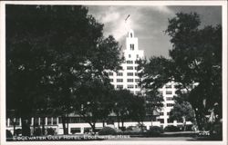 Edgewater Gulf Hotel framed by trees Postcard