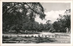 Gulf Park College Campus View with Majestic Trees Postcard