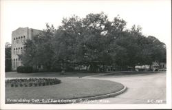 Friendship Oak at Gulf Park College, Gulfport Postcard