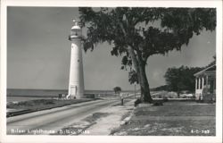 Biloxi Lighthouse, Road, and Large Tree Postcard
