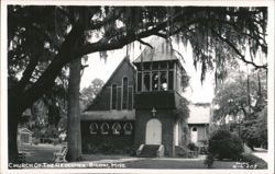 Church of the Redeemer framed by Spanish Moss draped trees Postcard