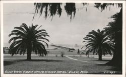 Gulf View from White House Hotel with Pier and Palm Trees Postcard