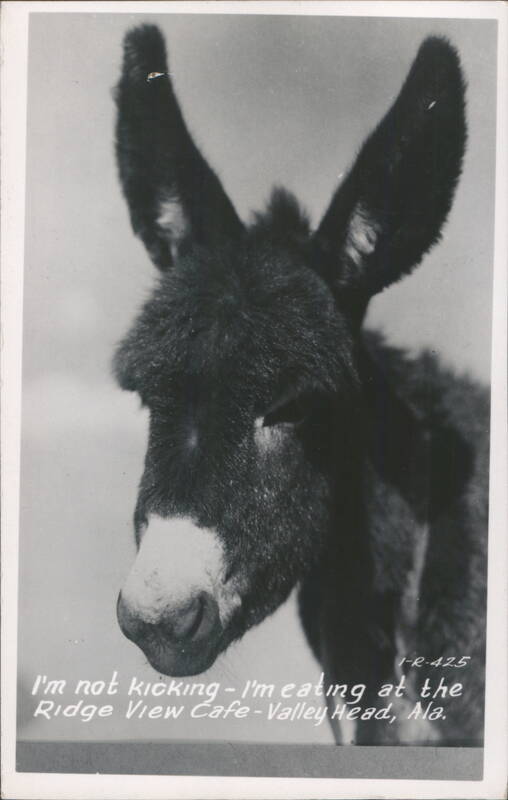 Donkey at Ridge View Cafe: 'I'm not kicking - I'm eating' Valley Head Alabama