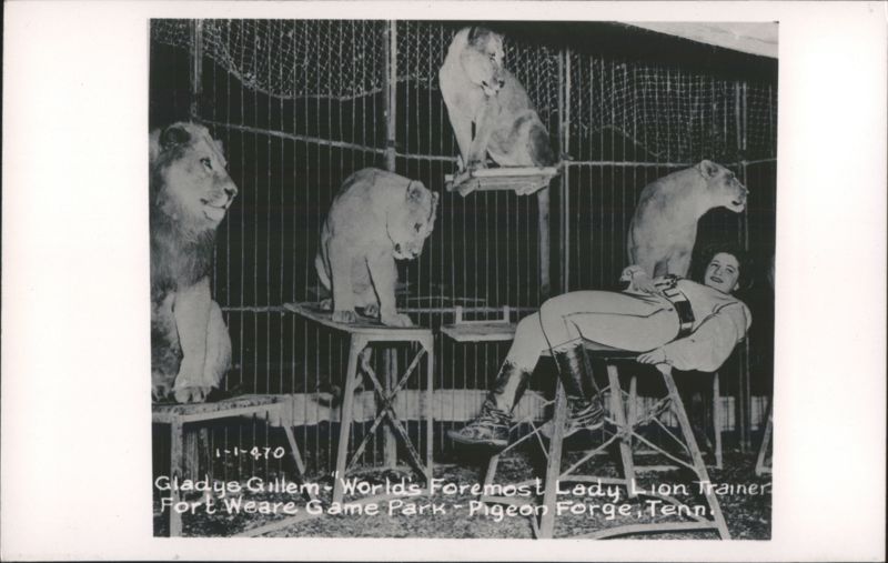 Gladys Gillem, World's Foremost Lady Lion Trainer, Fort Weare Game Park Pigeon Forge Tennessee