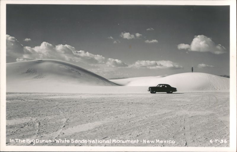 In The Big Dunes - White Sands National Monument Alamogordo New Mexico
