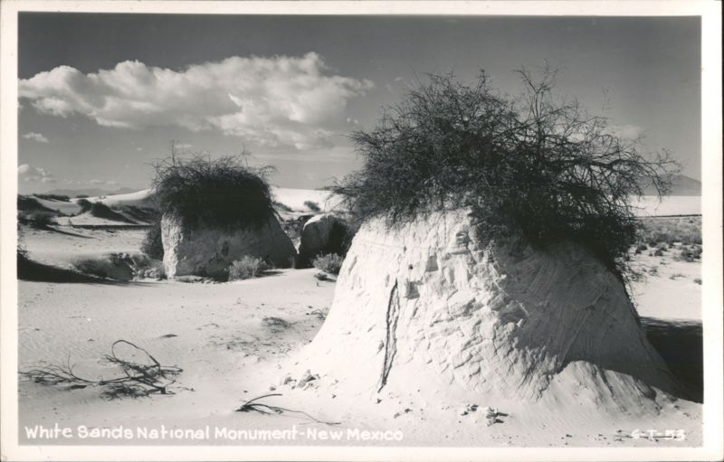 White Sands National Monument Desert Landscape with Dunes and Shrubs Alamogordo New Mexico