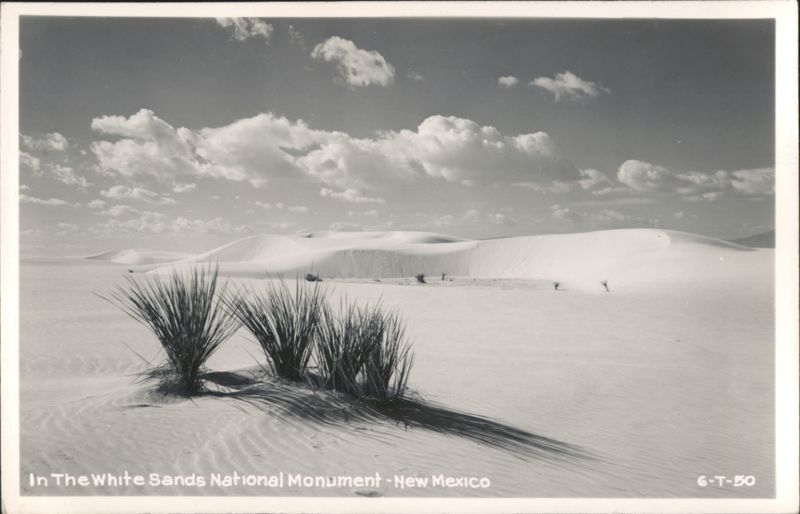White Sands National Monument, New Mexico - Desert Dunes and Plants Alamogordo