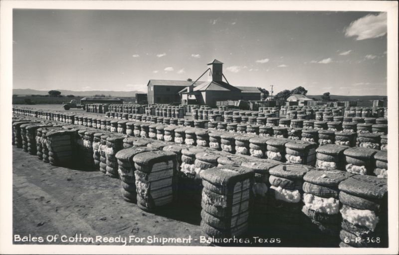Bales Of Cotton Ready For Shipment - Balmorhea, Texas