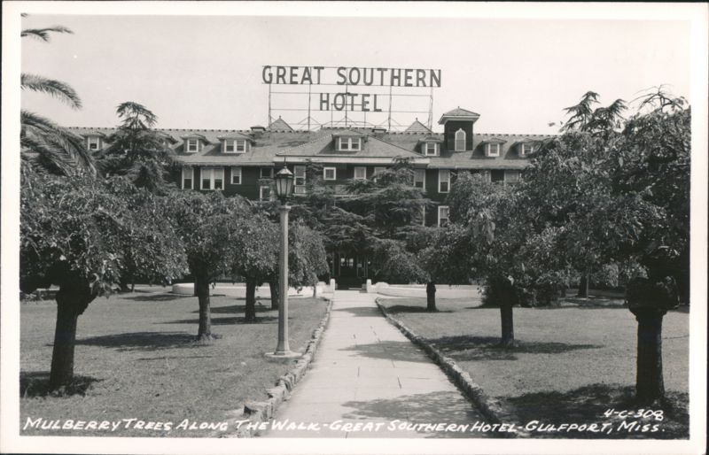 Mulberry Trees Along The Walk - Great Southern Hotel Gulfport Mississippi