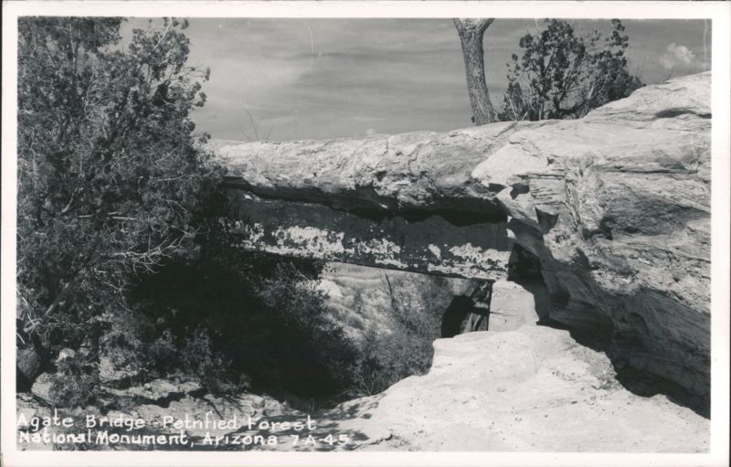 Agate Bridge - Petrified Forest National Monument Arizona
