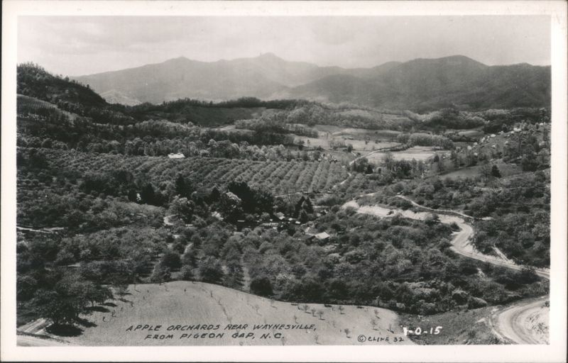 Apple Orchards near Waynesville, from Pigeon Gap North Carolina