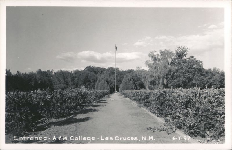 Entrance to A&M College with a flag pole and landscaped path Las Cruces New Mexico