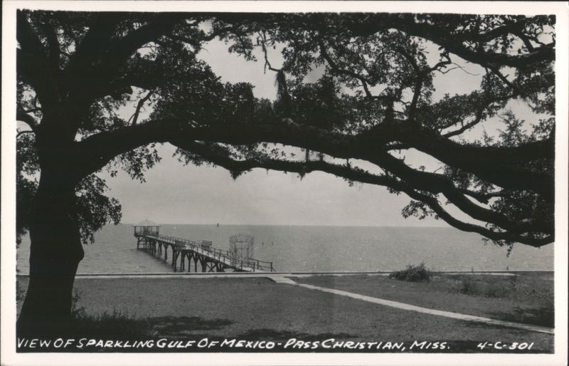 Sparkling Gulf of Mexico view with pier, framed by a large oak tree Pass Christian Mississippi