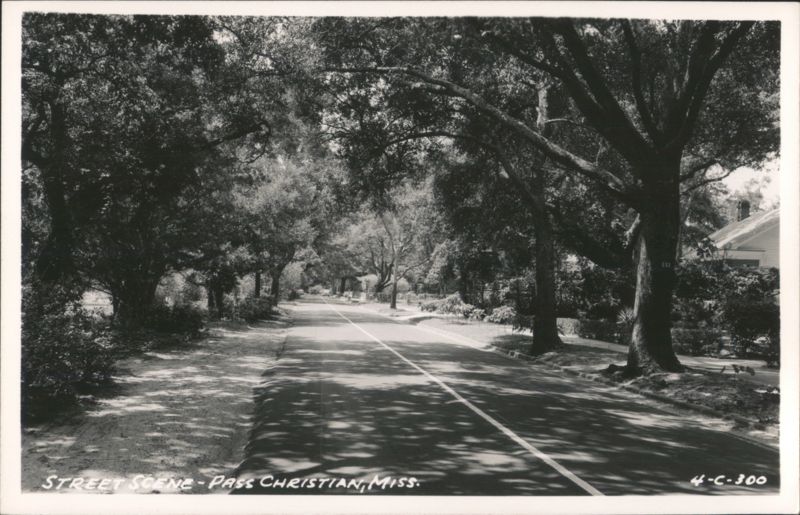 Street Scene, Tree-Lined Road Pass Christian Mississippi