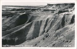 The Painted Desert, Arizona Postcard
