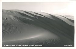 Sand Dunes near Yuma Postcard