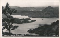 Lake Ocoee, U.S. 64, with Forested Hills and Islands Postcard