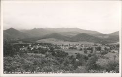 Birdseye View of Hiawassee Postcard