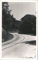 Highway 176 Winding Road through Forest Postcard