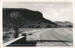 Highway Scene Between Alpine and Fort Davis Postcard