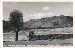 In The Davis Mountains - Between Alpine and Fort Davis, Texas Postcard