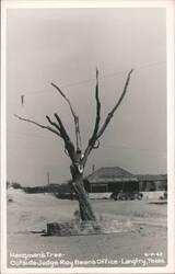 Hangman's Tree - Outside Judge Roy Bean's Office Postcard