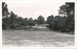 The 17th Green, Gulf Hills Golf Course Postcard