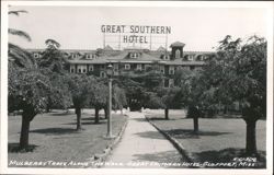 Mulberry Trees Along The Walk - Great Southern Hotel Postcard
