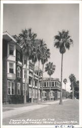 Tropical Beauty at The Great Southern Hotel Postcard