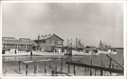 Shrimp Boats in Harbor Postcard
