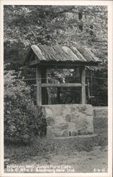 Wishing Well at Jungle Park Cafe, U.S. 41, Rte. 2 Postcard