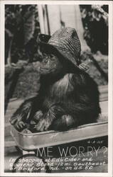 Chimpanzee in straw hat in wagon with 'ME WORRY?' Postcard