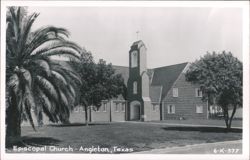 Episcopal Church with Palm Tree Postcard