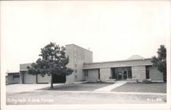 City Hall Building with Pine Tree Postcard