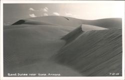 Sand Dunes near Yuma, Arizona Postcard