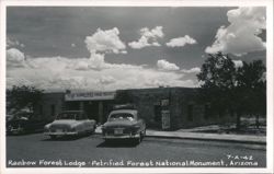 Rainbow Forest Lodge - Petrified Forest National Monument Postcard