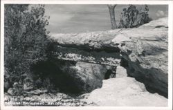 Agate Bridge - Petrified Forest National Monument Postcard
