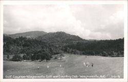 Golf Course - Waynesville Golf and Country Club Postcard
