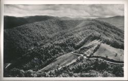 Cove Creek Gap, NC - Mountain Landscape with Winding Road Postcard