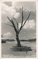 Hangman's Tree - Outside Judge Roy Bean's Office Postcard