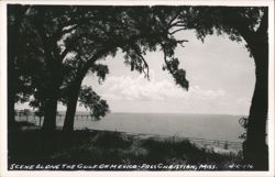 Scene Along the Gulf of Mexico, Pass Christian Postcard