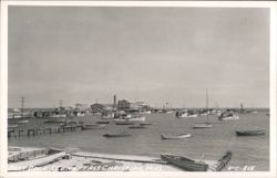 Boat Dock Scene with numerous fishing boats and buildings along the shore Postcard