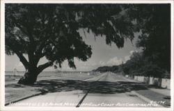 Highway U.S. 90 along Mississippi Gulf Coast Postcard