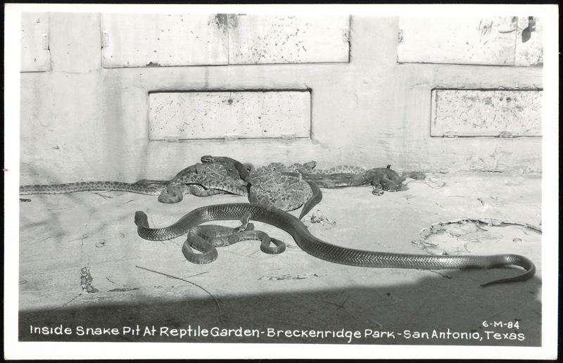 Inside Snake Pit At Reptile Garden-Breckenridge Park San Antonio Texas