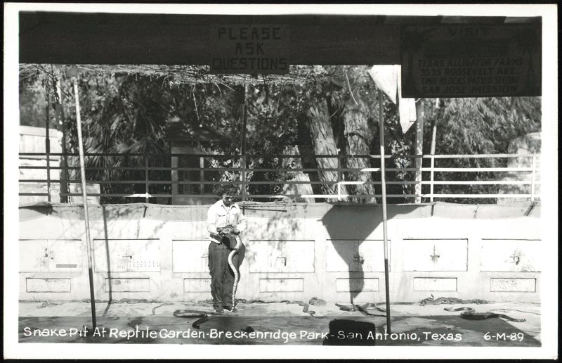 Snake Pit At Reptile Garden-Breckenridge Park San Antonio Texas