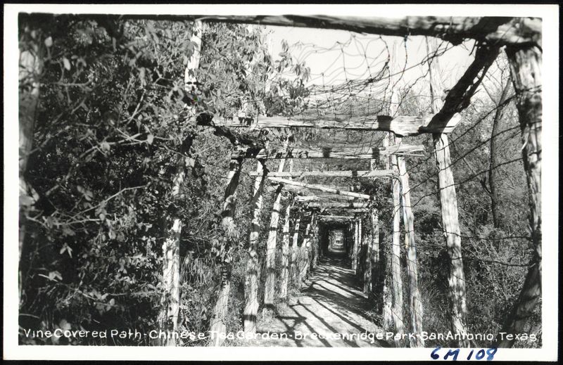 Vine Covered Path, Chinese Tea Garden, Breckenridge Park San Antonio Texas