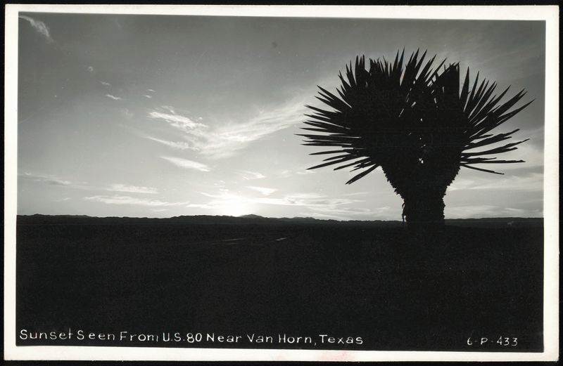 Sunset on U.S. 80 with Desert Landscape and Yucca Silhouette Van Horn Texas