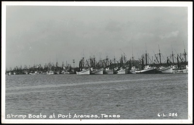 Shrimp Boats Docked in Harbor Port Aransas Texas