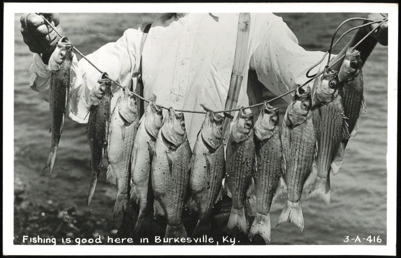 Man holding a stringer of fish, Burkesville, KY Kentucky